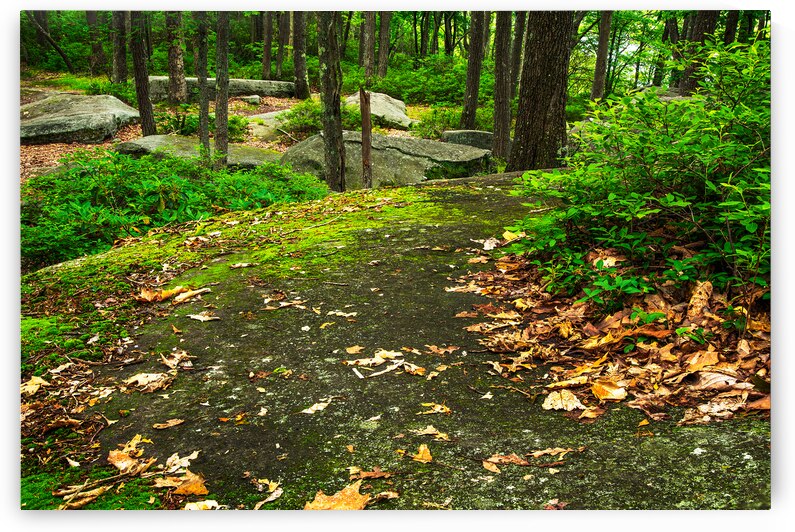 Rim Rock Garden by Andy Crawford