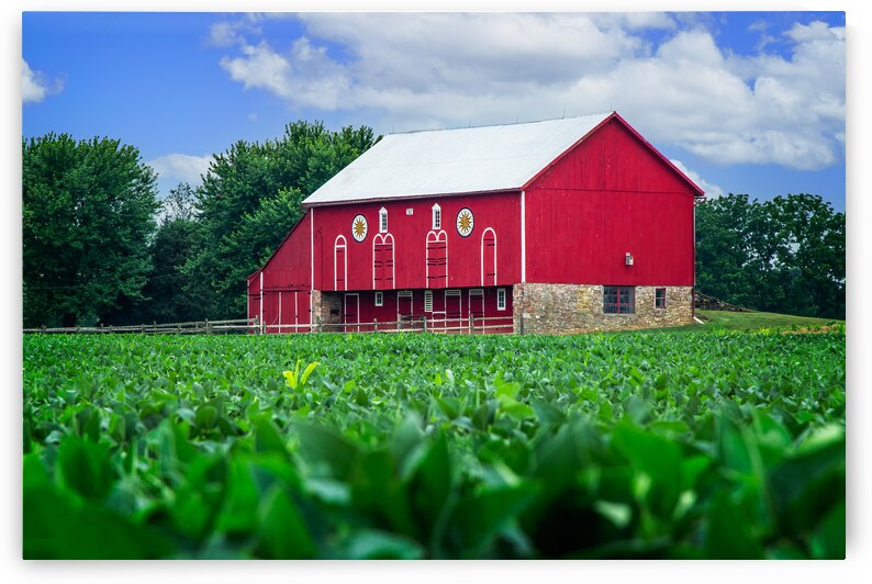 Joyous Barn by Andy Crawford