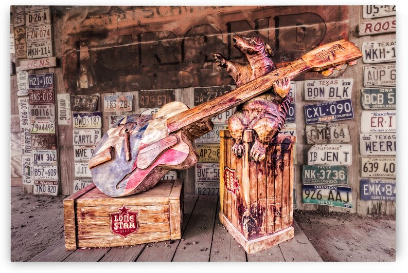 Luckenbachs Guitar-Playing Armadillo  by Andy Crawford