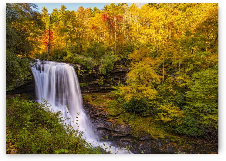 Cullasaja Falls in full bloom by Andy Crawford