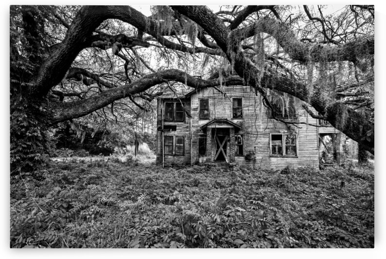 Old South memories by Andy Crawford