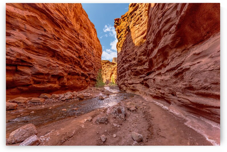 Mary Jane Slot Canyon by Jennifer White