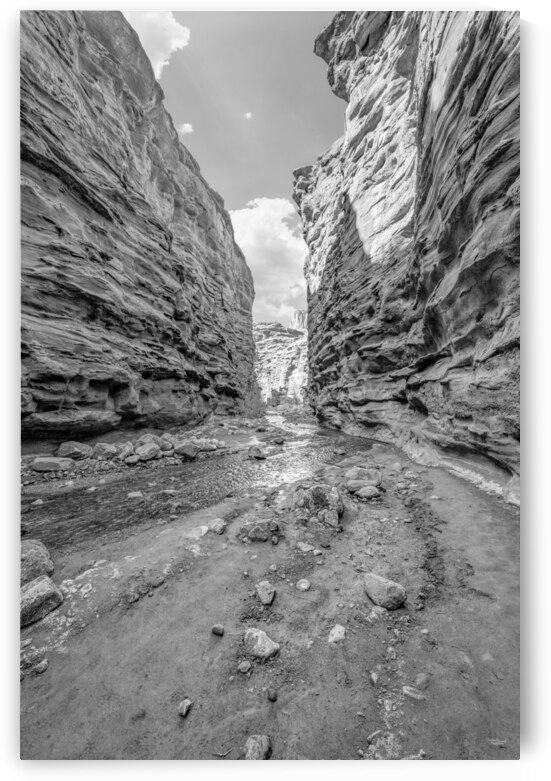 Mary Jane Slot Canyon Vertical Grayscale by Jennifer White