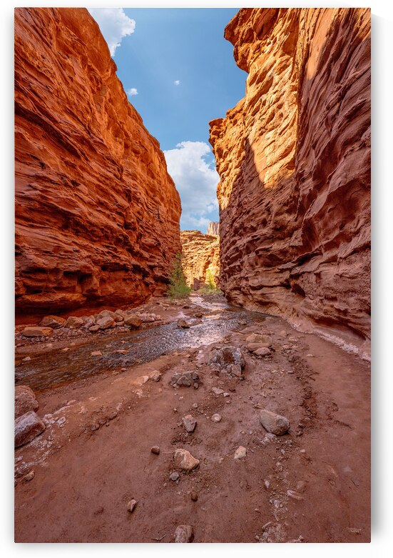 Mary Jane Slot Canyon Vertical by Jennifer White