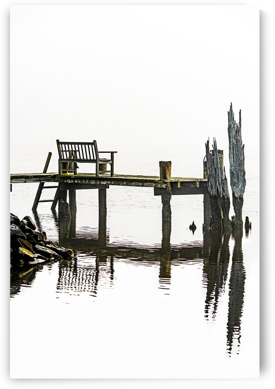 From the Dock on the River by Reflective Photography