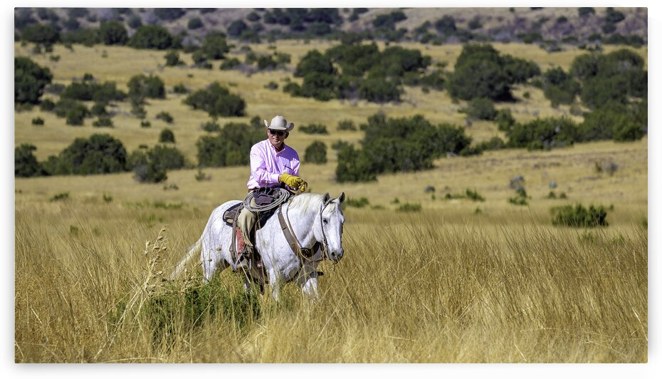 Patriarch by Trey Neal  Natures Wildscapes