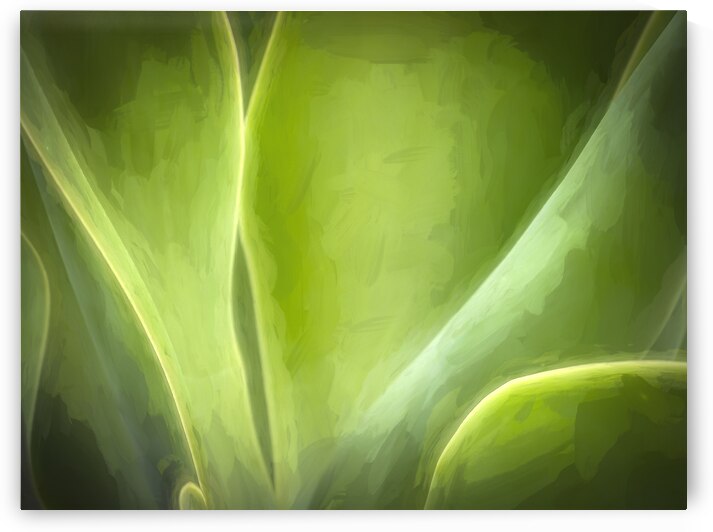 Agave Leaves Abstract X1 4 by Rich Franco