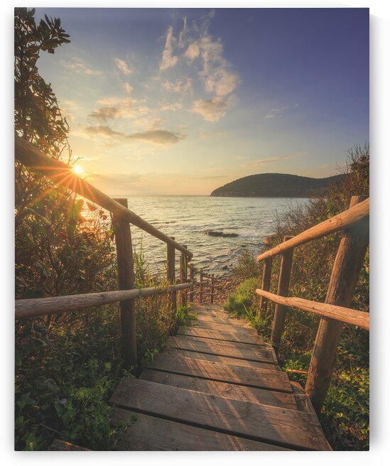Descent to the sea in Cala Violina beach in Tuscany by Stefano Orazzini