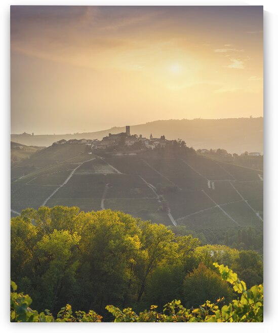 Langhe vineyards landscape and Castiglione Falletto village by Stefano Orazzini