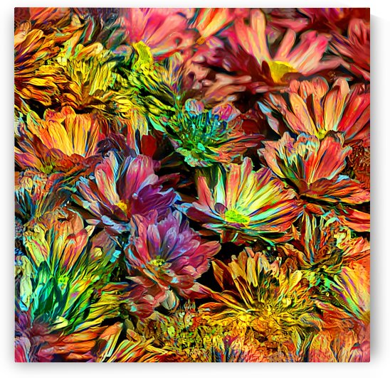 Rainbow Floral by HH Photography of Florida