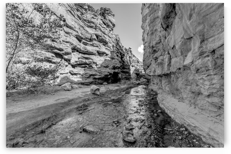 Mary Jane Canyon Balanced Rock Grayscale by Jennifer White