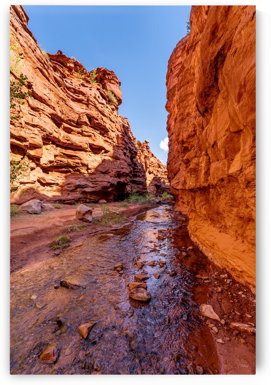 Mary Jane Slot Canyon Walls Vertical by Jennifer White