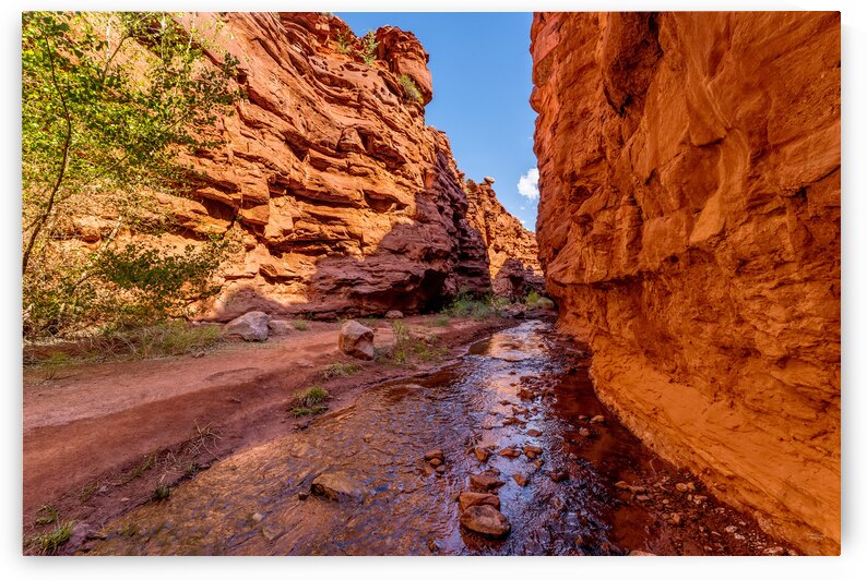 Mary Jane Canyon Balanced Rock by Jennifer White