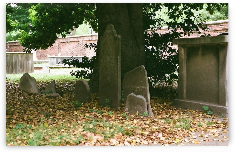 CCBG Phila 10 by maniacvii