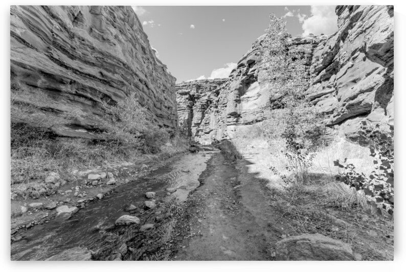Mary Jane Canyon Red Rock Walls Grayscale by Jennifer White