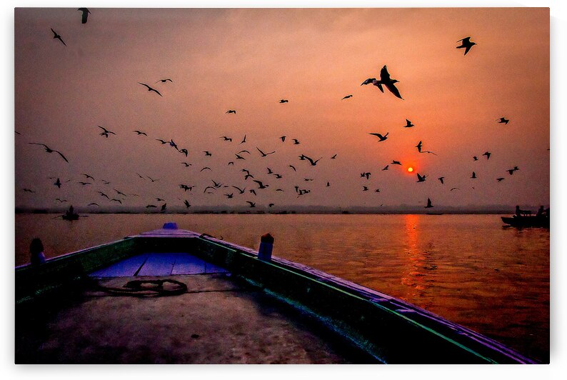 Dawn Flight Over Still Waters by Chirag Pandya
