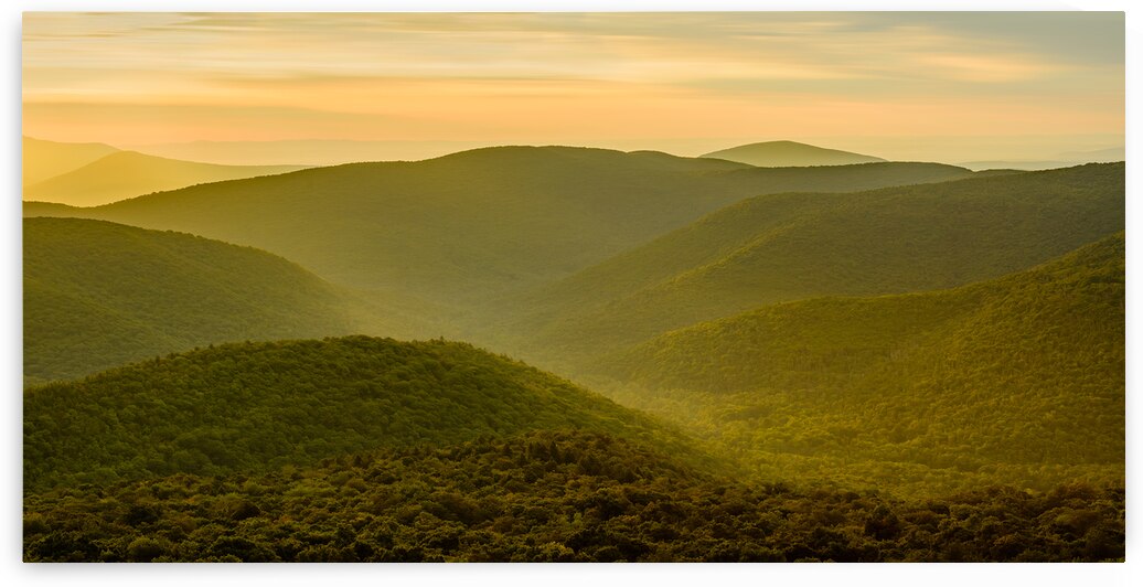 Evergreen Heart by Jane Haslam