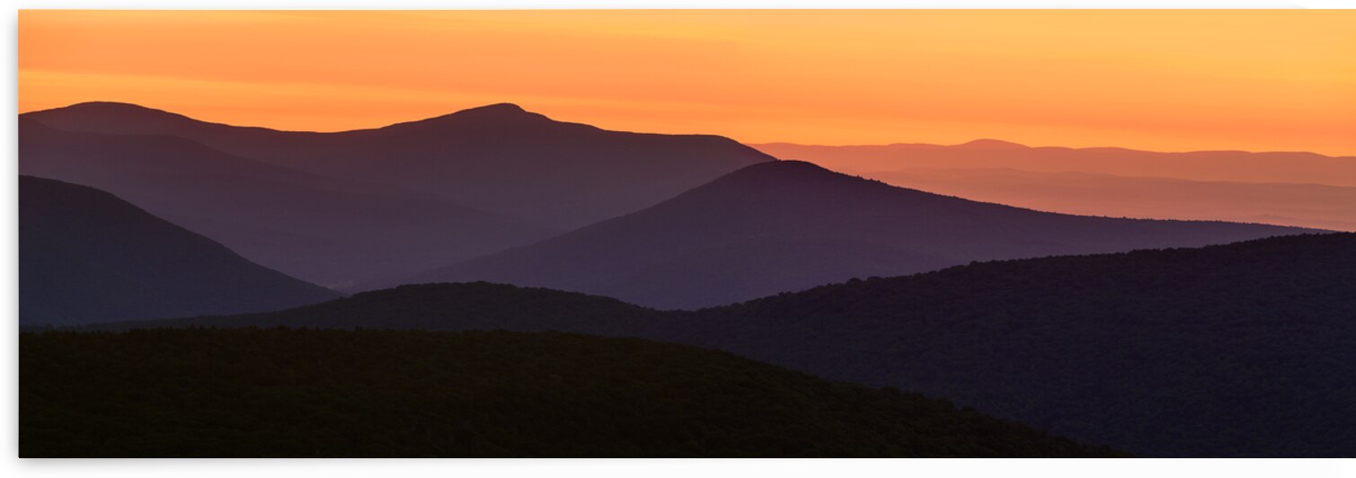 Golden Hour by Jane Haslam