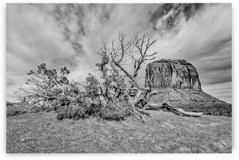 Merrick Butte in Black-and-White by Andy Crawford