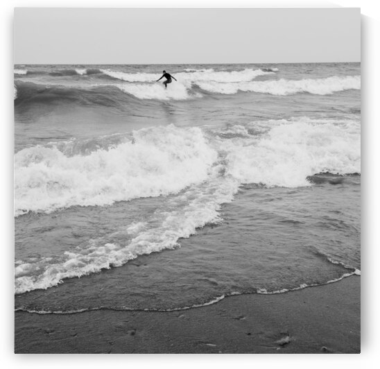 Surf King  by Wildhood