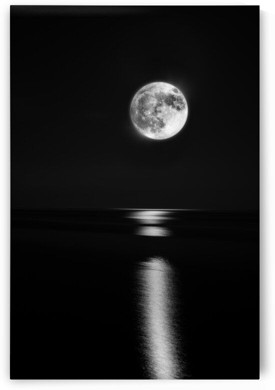 Moonlight | Moon | Ocean by Wildhood