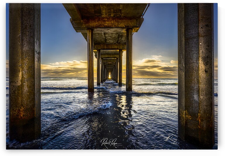 Scripps Pier La Jolla CA  by Robert E Ryan