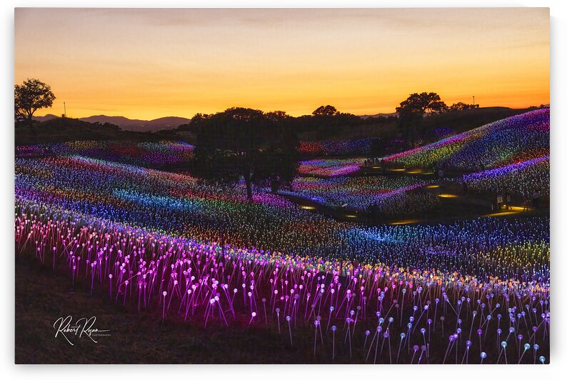 Lighted Sunset by Robert E Ryan