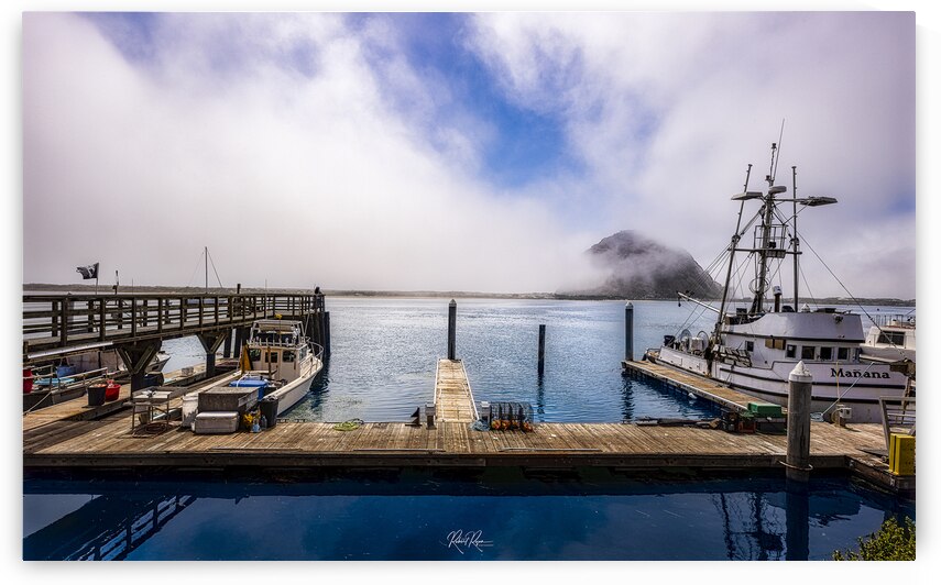 The Rock in Fog by Robert E Ryan