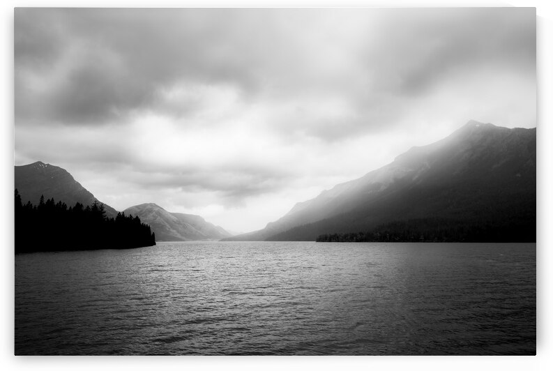 Foggy Landscape | Alberta by Wildhood