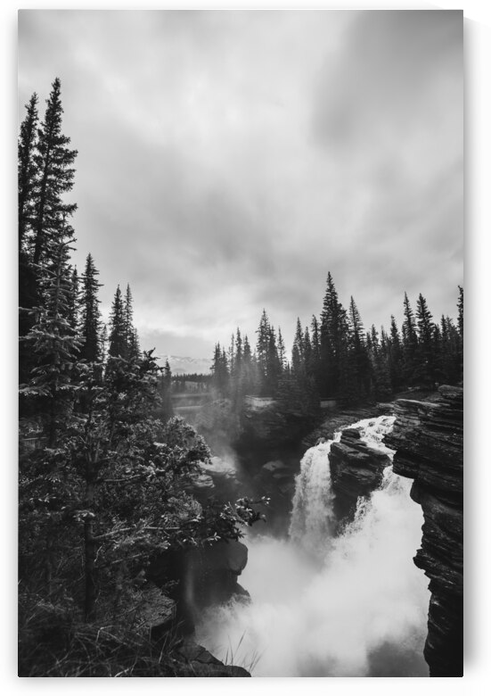 Athabasca Falls | Alberta by Wildhood