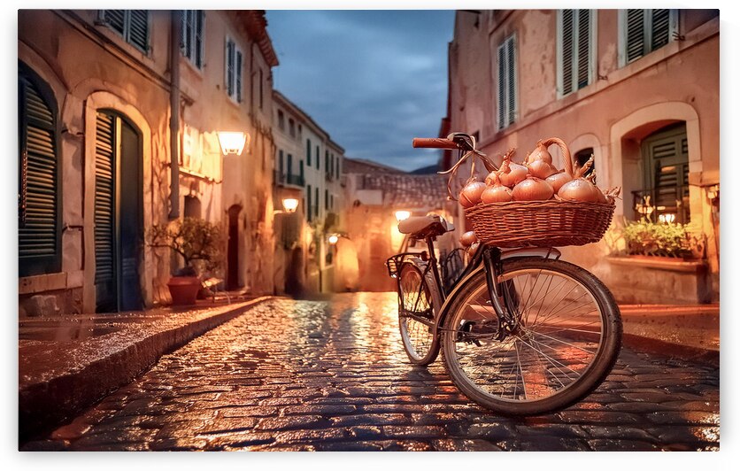 A French bicycle with onions by Leighton Collins