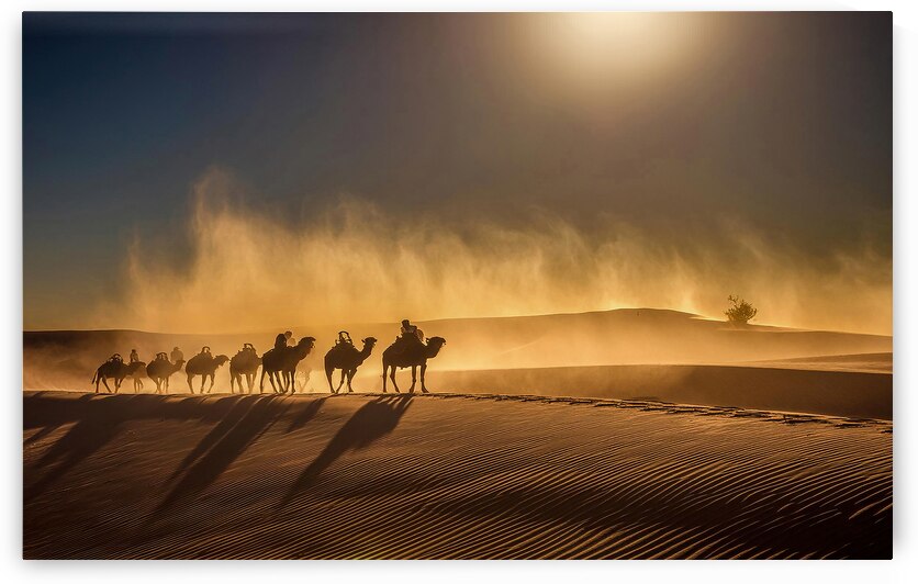 A camel caravan by Leighton Collins