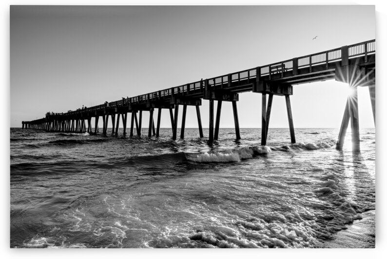 MB Miller Sun Star Sunset Grayscale by Jennifer White