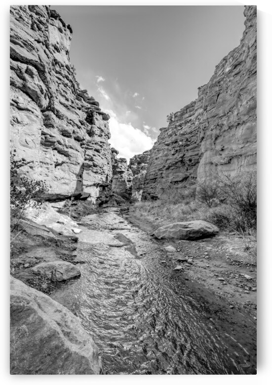 Mary Jane Canyon Moab Utah Vertical Grayscale by Jennifer White