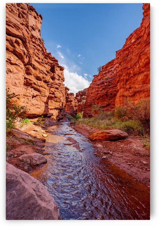 Mary Jane Canyon Moab Utah Vertical by Jennifer White