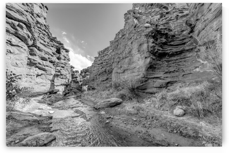 Mary Jane Canyon Moab Utah Grayscale by Jennifer White