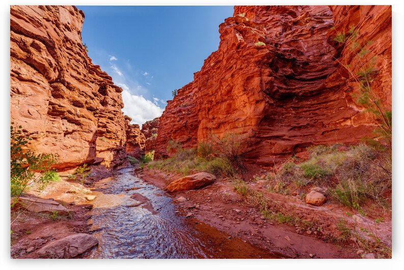 Mary Jane Canyon Moab Utah by Jennifer White