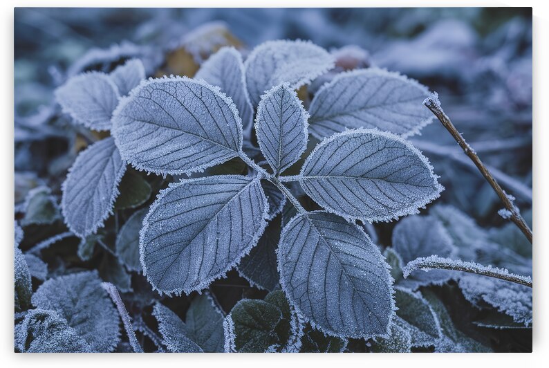 an abstract background with a pattern of dots and a gradient of blues and purples by Sergiu Gutium