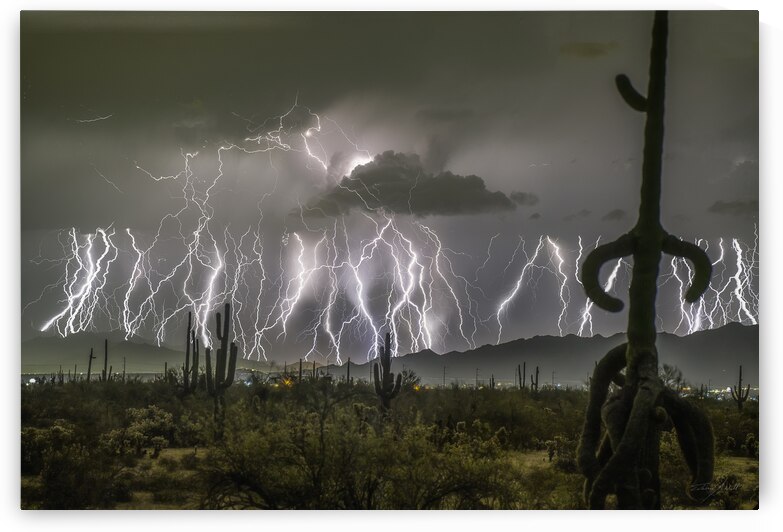Desert Symphony - Winner of the 2025 World Meteorological Organization weather calendar August  by Edward Mitchell