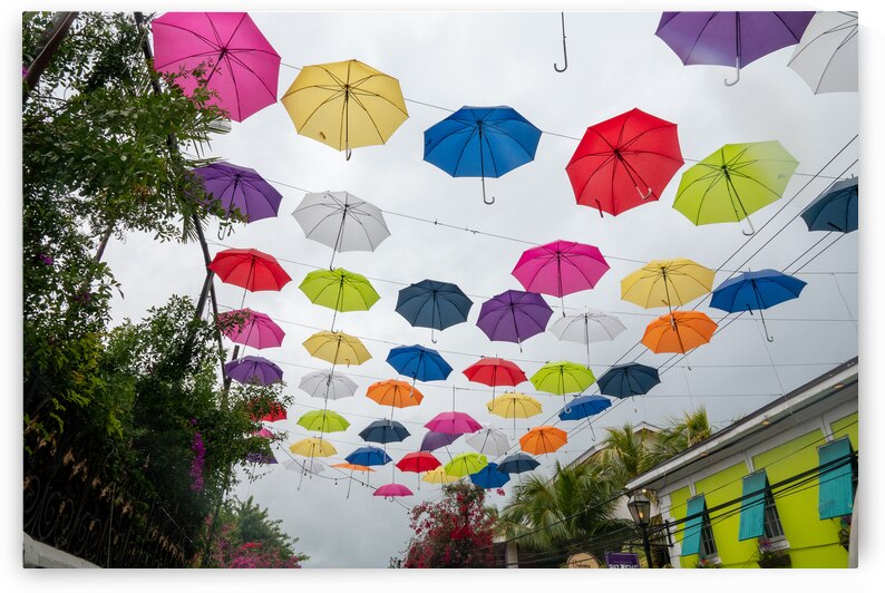 Umbrella Lane by Adel B Korkor