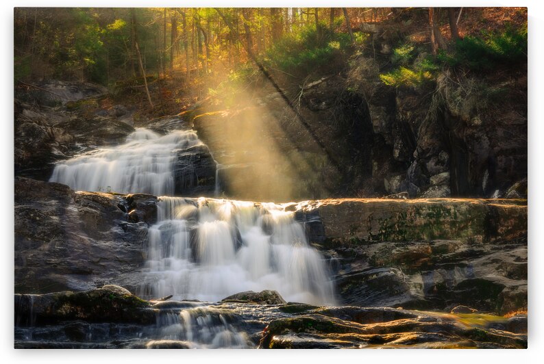 A Beautiful Gift by Jane Haslam