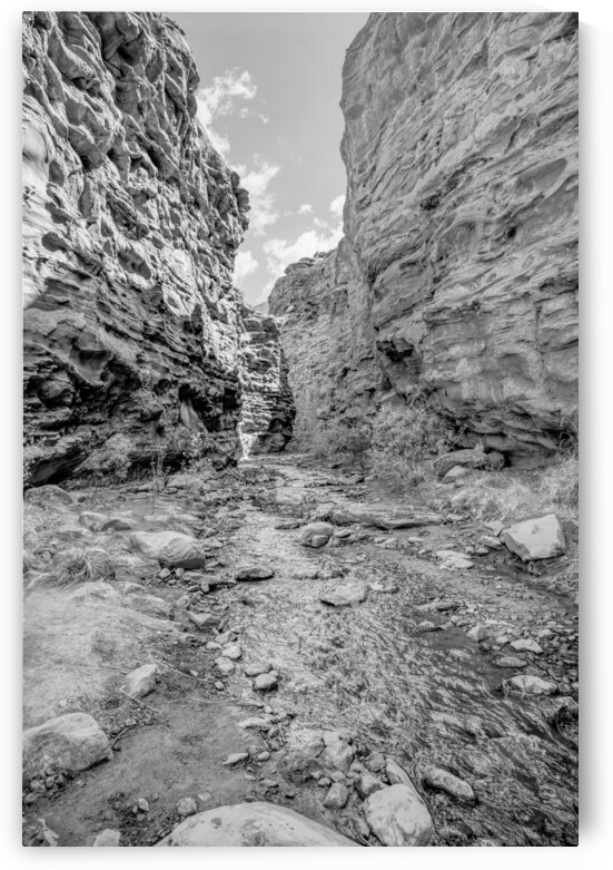 Professor Creek Flowing Through Mary Jane Grayscale by Jennifer White