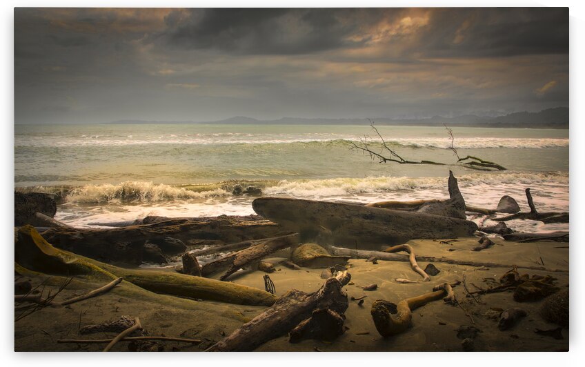 Caribbean After the Storm by Norma Brandsberg Photography