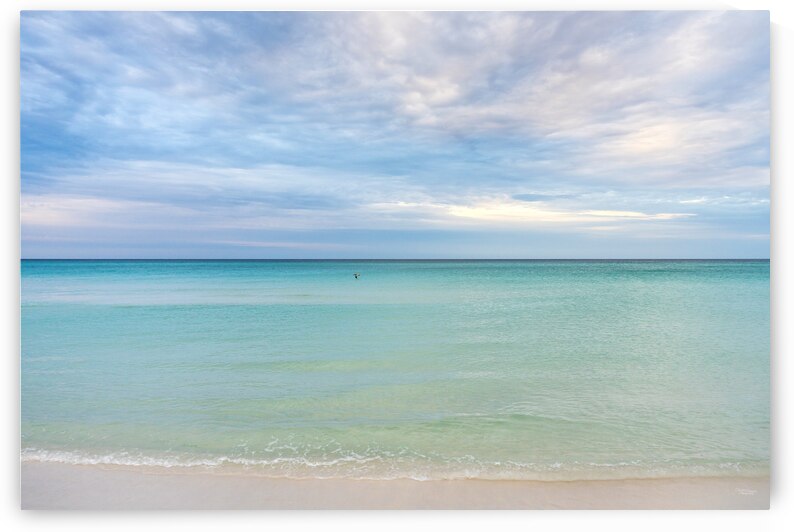 Pelican Flying Over Destin Emerald Coast by Jennifer White