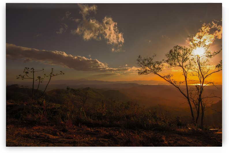 Costa Rica Plantation Hillsides at Sunset by Norma Brandsberg Photography