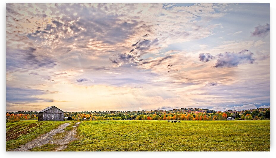 Golden Hour Over the Meadow by Chirag Pandya