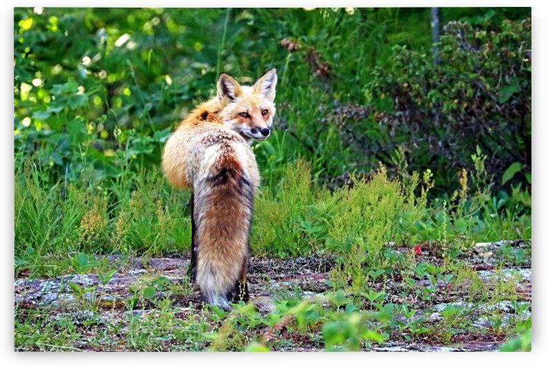 See You Later by Deb Oppermann