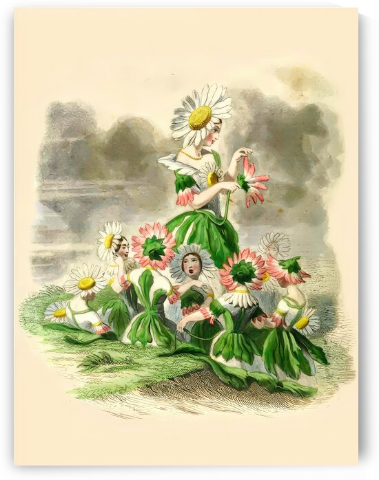 Vintage childrens watercolour print of dasies. by Steve Painter