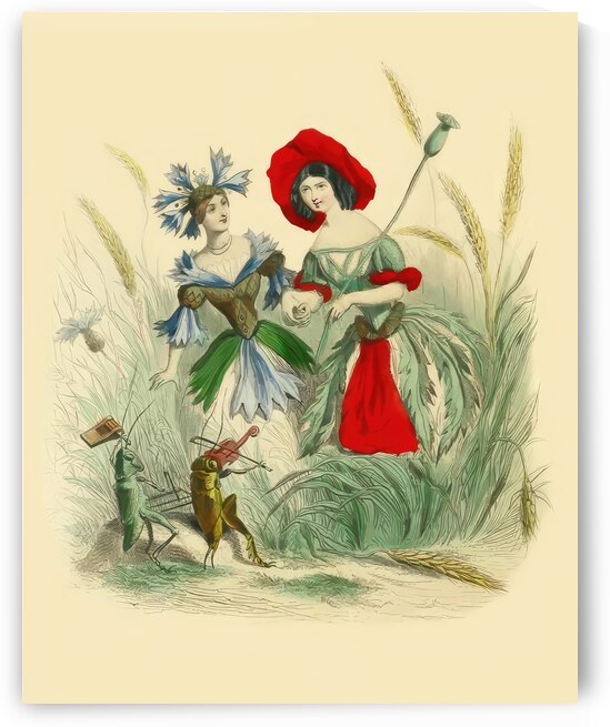  Vintage childrens watercolour print of a poppy and a corn flower by Steve Painter