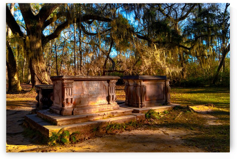 Old Sheldon Church Tombs by Norma Brandsberg Photography